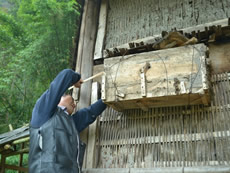 With PCD's support to a survey, it is found that traditional methods in keeping Chinese honeybees is the lifeline for the ecological restoration of the soil-denuded areas of Guizhou. A beekeeper hangs a traditional wooden beehive outside his house and honeybees are kept inside it.